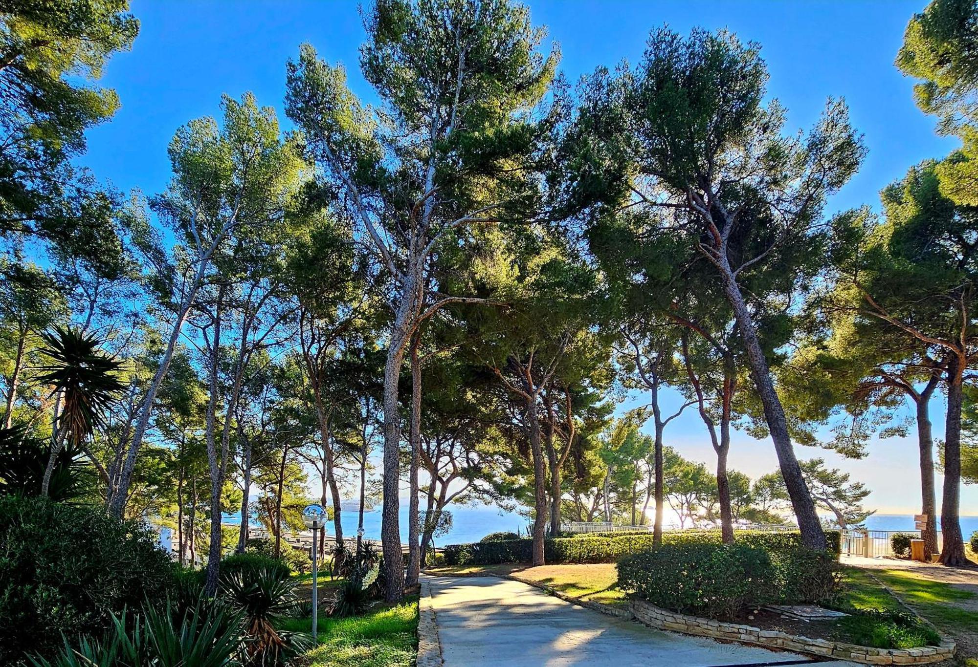Superbe Appartement Dans Cadre D'Exception - Piscine, Plage Et Tennis Prive Bandol Exterior photo